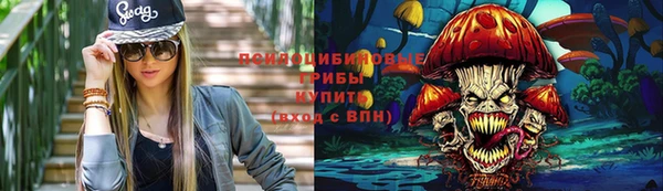 мдпв Вязники